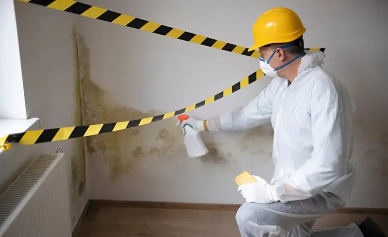 condensation mold remediation for homes in Golden Lake 46779